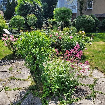 Les Colibris - Standing Et Jardin - 3 Etoiles Daire Cluses Dış mekan fotoğraf