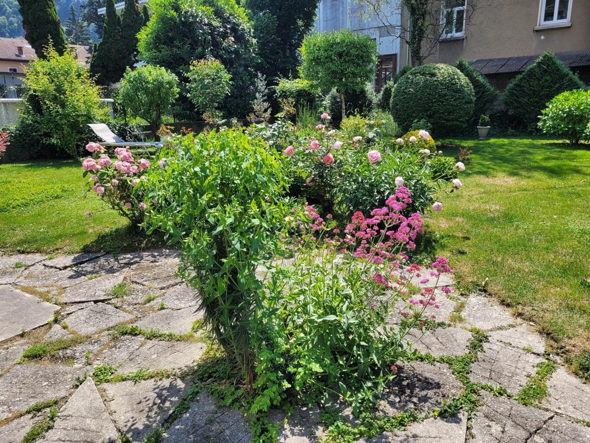 Les Colibris - Standing Et Jardin - 3 Etoiles Daire Cluses Dış mekan fotoğraf